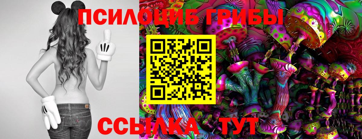 Псилоцибиновые грибы прущие грибы Тихвин